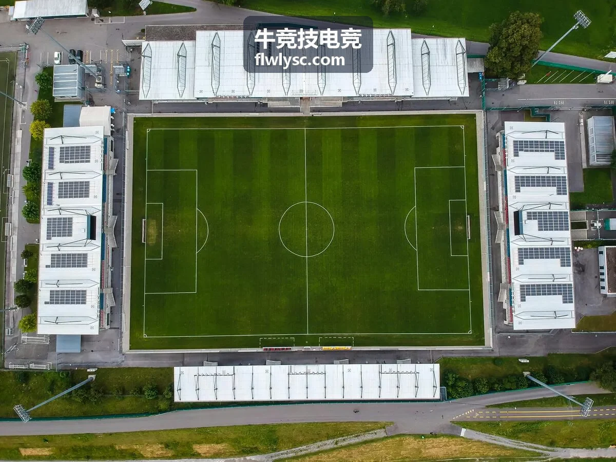 牛竞技电竞数据仪表盘